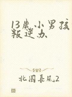 13岁小男孩的叛逆办