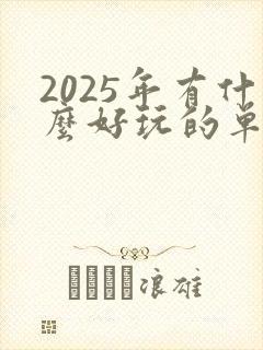 2025年有什么好玩的单机游戏