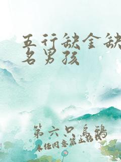 五行缺金缺火取名男孩