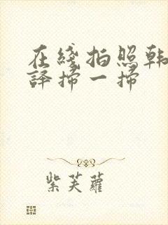 在线拍照韩语翻译扫一扫