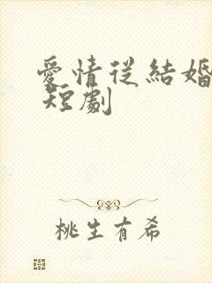 爱情从结婚开始 短剧