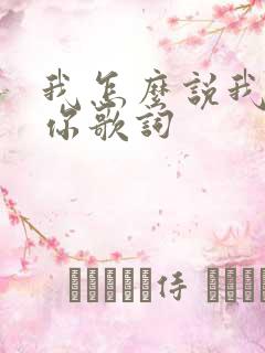 我怎么说我不爱你歌词