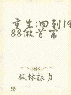 重生:回到1988做首富
