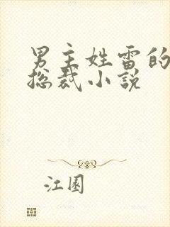 男主姓雷的霸道总裁小说