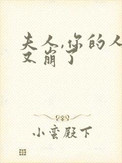 夫人,你的人设又崩了