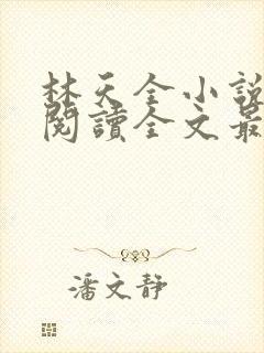 林天全小说免费阅读全文最新章节