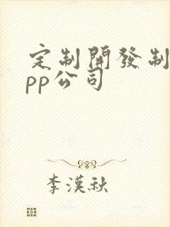 定制开发制作app公司