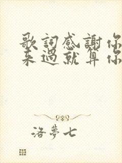 歌词感谢你曾经来过就算你是个过客