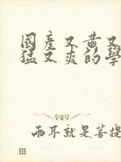 国产又黄又粗又猛又爽的学生