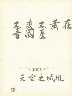 又爽又黄在线观看国产