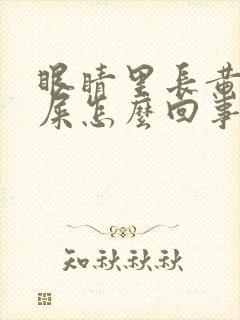 眼睛里长黄色眼屎怎么回事