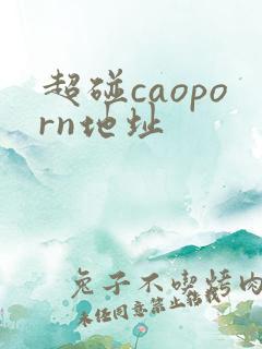 超碰caoporn地址