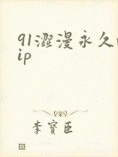 91涩漫永久vip