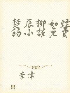 楚辰柳如烟主角的小说免费阅读