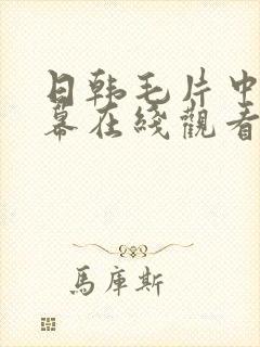 日韩毛片中文字幕在线观看