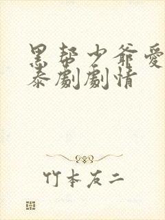 黑帮少爷爱上我泰剧剧情