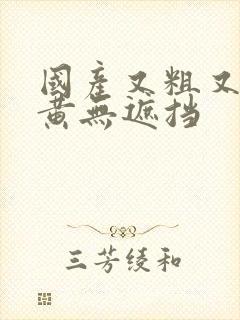 国产又粗又猛又黄无遮挡