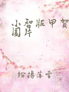 小智版甲贺忍蛙图片