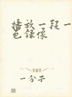 播放一段一级黄色录像