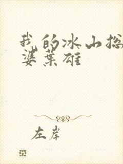 我的冰山总裁老婆叶雄