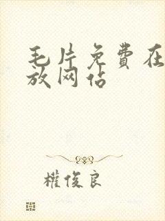 毛片免费在线播放网站