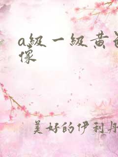 a级一级黄色录像