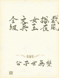 全文女总裁的超级兵王夜风武