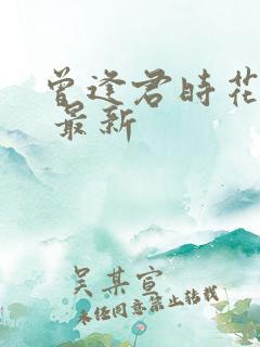 曾逢君时花照眼 最新