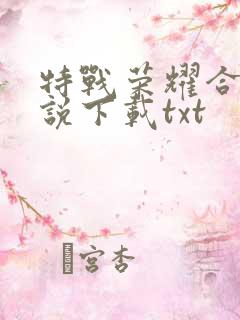 特战荣耀合集小说下载txt