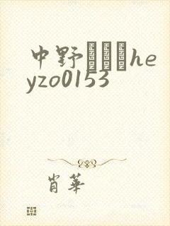 中野ありさheyzo0153