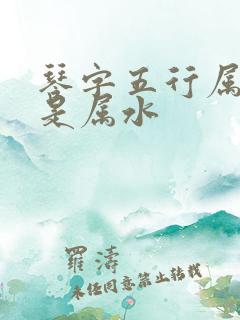 琴字五行属火还是属水