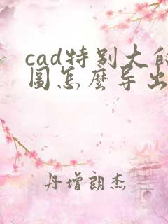 cad特别大的图怎么导出清楚的pdf来