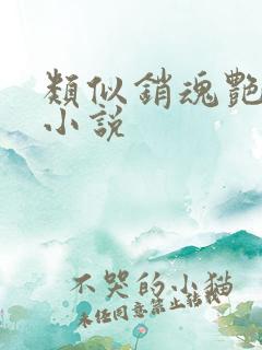 类似销魂艳婢的小说