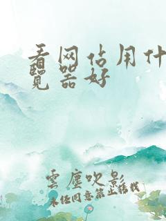 看网站用什么浏览器好