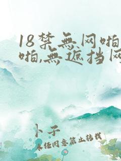 18禁无网啪啪啪,无遮挡网站