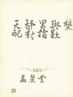 天秤男与双子女配对指数