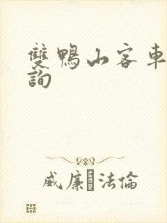 双鸭山客车票查询