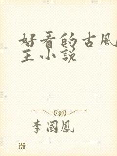 好看的古风双男主小说