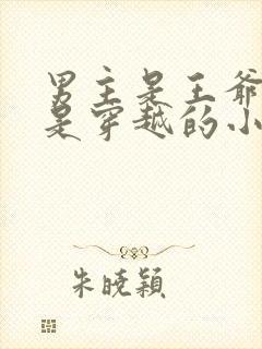 男主是王爷女主是穿越的小说