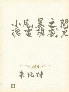 小风暴之间的玫瑰电视剧免费观看