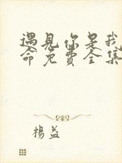 遇见你是我的宿命免费全集短剧