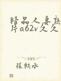 精品人妻熟女毛片a62v久久