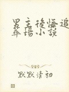 男主后悔追妻火葬场小说