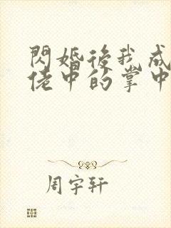 闪婚后我成了大佬中的掌中之物