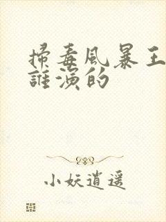 扫毒风暴王奇是谁演的