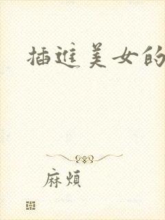 插进美女的小逼