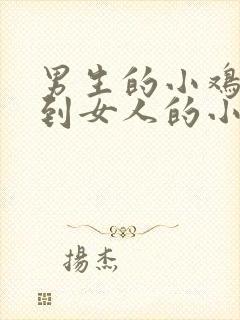 男生的小鸡鸡插到女人的小鸡鸡里