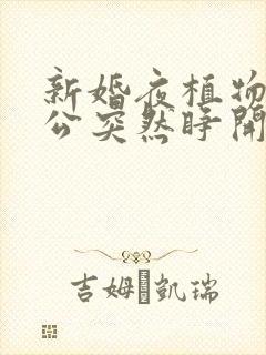 新婚夜植物人老公突然睁开眼睛秦安安傅时霆