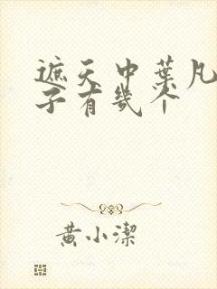 遮天中叶凡的妻子有几个