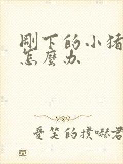 刚下的小猪拉稀怎么办